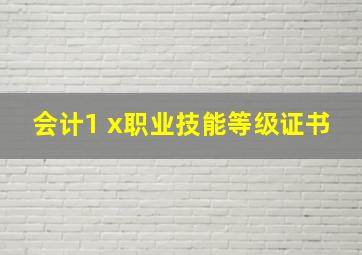 会计1 x职业技能等级证书